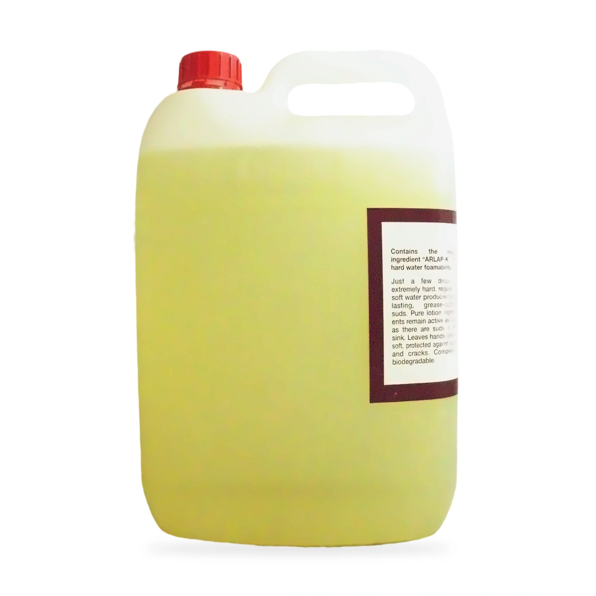 Easy Liquid Hand Pot and Dishwashing Concentrate 5L - side shot 2
