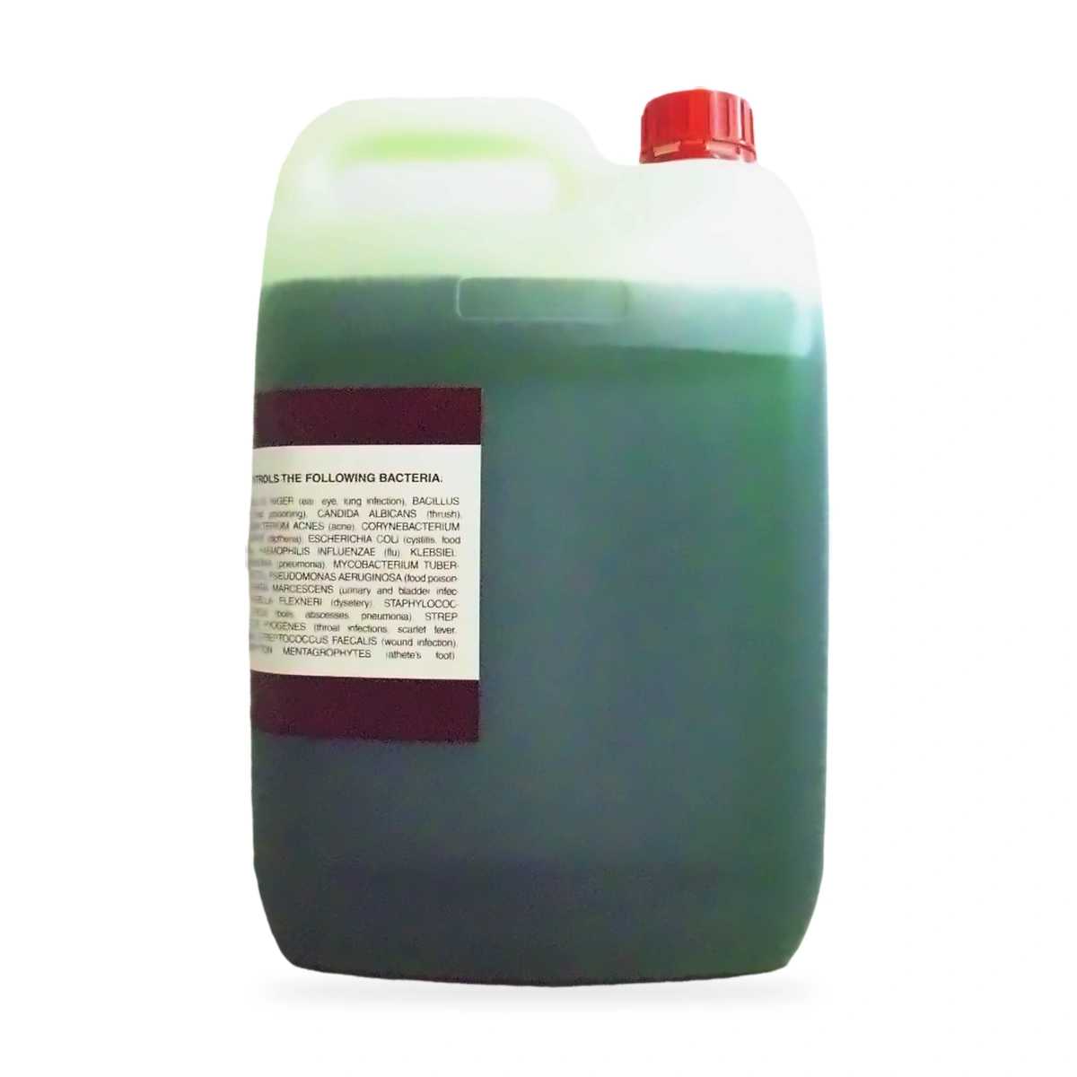 Escort Herbal Anti-Bacterial Hands and Arms Cleaner 5L - side shot 1