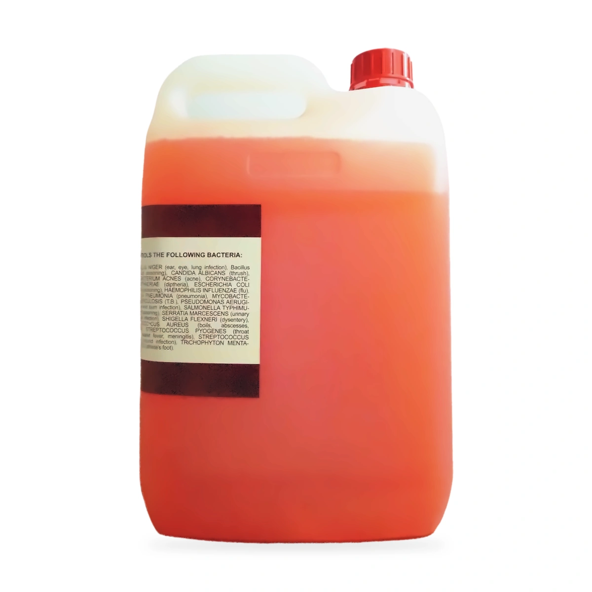 Escort Tangerine Anti-Bacterial Hands and Arms Cleaner 5L - side shot 1